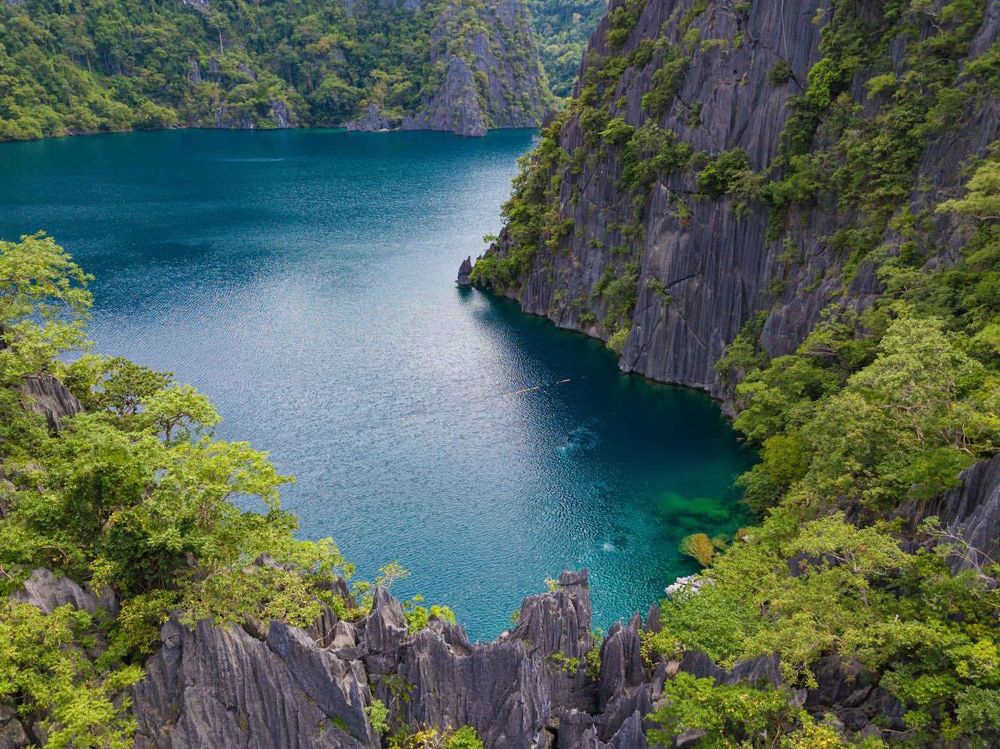 Lac Barracuda Coron Que Faire Sur L le De Coron Aux Philippines 