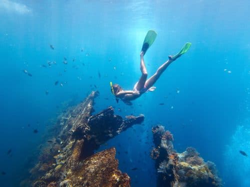 Reef and Wrecks Island Tour by FGB Travel and Tours