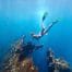 Reef and Wrecks Island Tour by FGB Travel and Tours