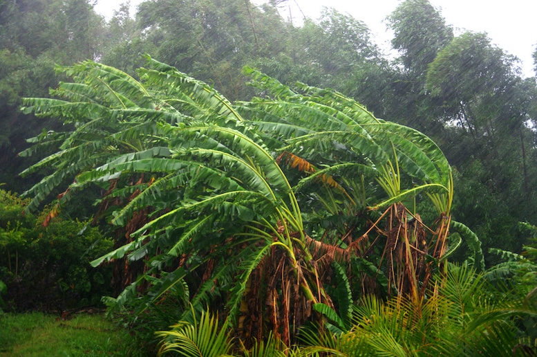 How Safe Is Palawan From Natural Disasters? | Tikigo Tips